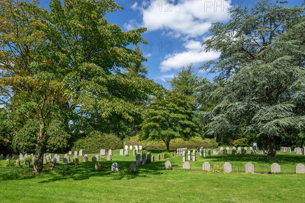 German WW1 graves at the St. Symphorien Military Cemetery