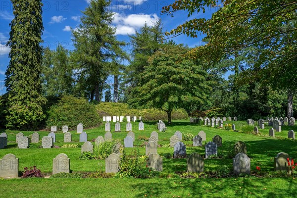 German WW1 graves at the St. Symphorien Military Cemetery