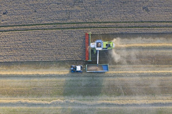 Aerial view over combine harvester and tractor with trailer harvesting oilseed rape