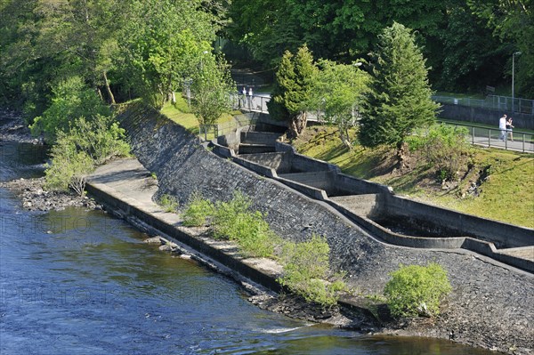 The Pitlochry fish ladder