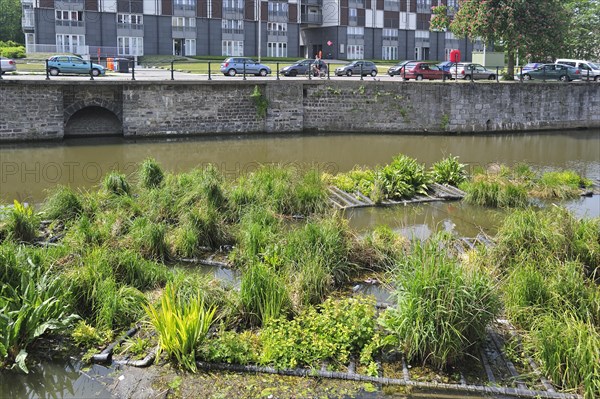 Artificial island in canal for fish to spawn and breeding place for waterfowl