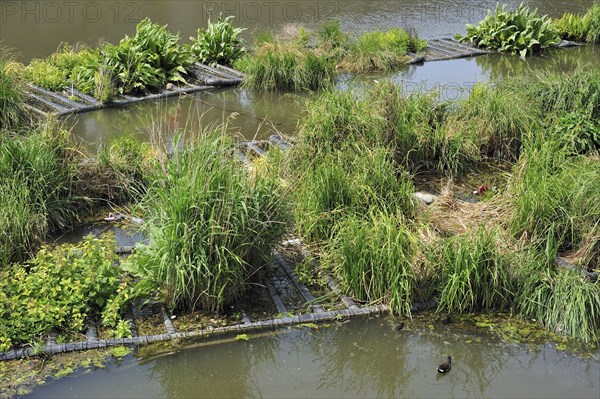 Artificial island in canal for fish to spawn and breeding place for waterfowl