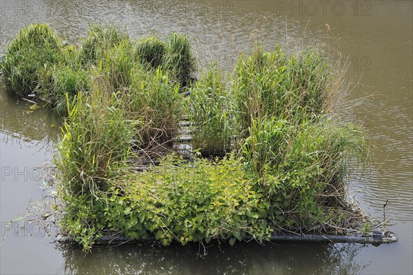 Artificial island in canal for fish to spawn and breeding place for waterfowl