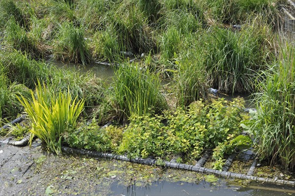 Artificial island in canal for fish to spawn and breeding place for waterfowl