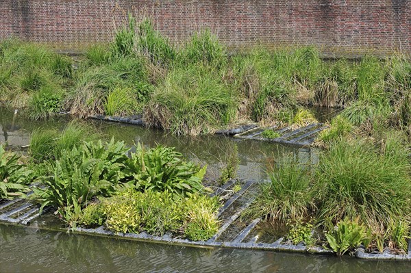 Artificial island in canal for fish to spawn and breeding place for waterfowl