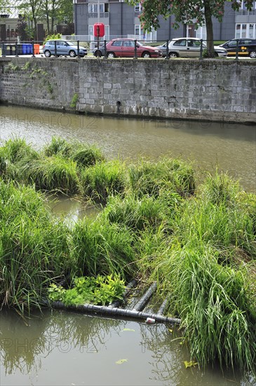 Artificial island in canal for fish to spawn and breeding place for waterfowl