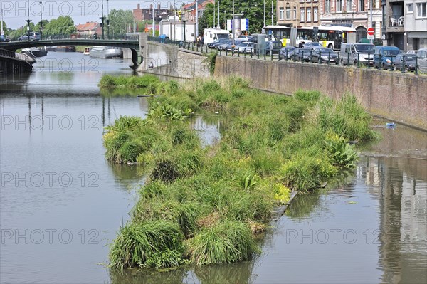 Artificial island in canal for fish to spawn and breeding place for waterfowl