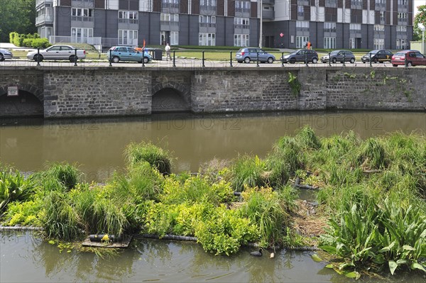 Artificial island in canal for fish to spawn and breeding place for waterfowl