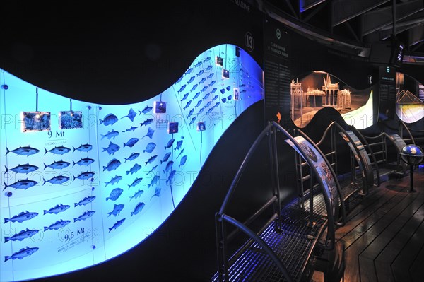 Interior of the The National Sea Centre Nausicaae