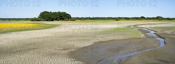 Drained lake