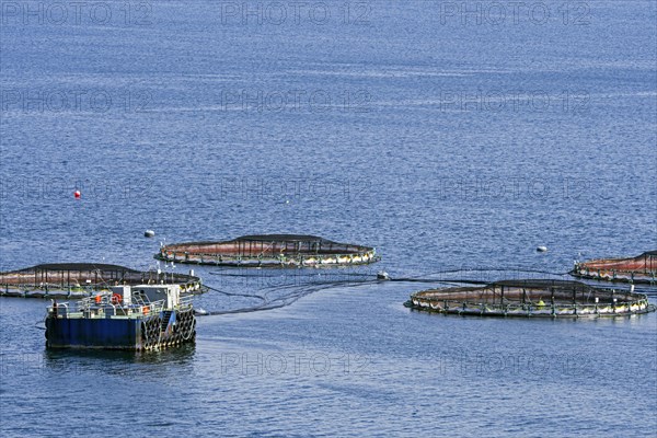 Aquaculture installation