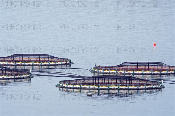 Aquaculture installation