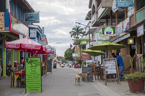 High street with restaurants and tourist tour companies in the city San Ignacio