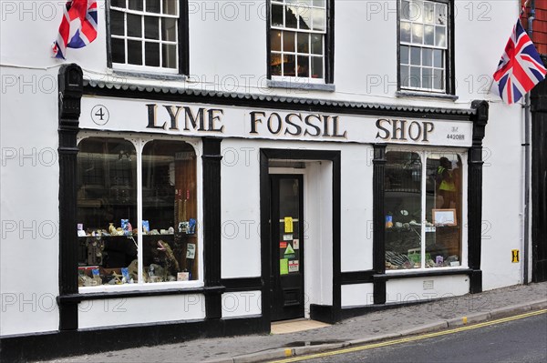 Lyme Fossil Shop selling fossils at Lyme Regis