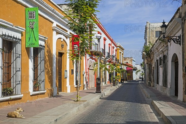 Shops in colourful street with colonial buildings and houses in the city Mazatla? n