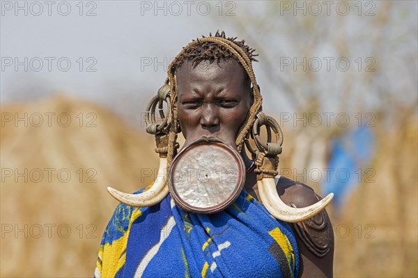 Black woman of the Mursi tribe wearing lip plate and huge tusks earrings in the Mago National Park