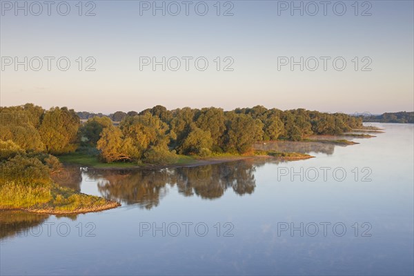 UNESCO Elbe River Landscape biosphere reserve at sunrise in summer