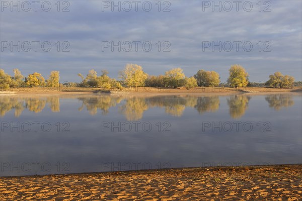 Trees in autumn colours along the river Elbe