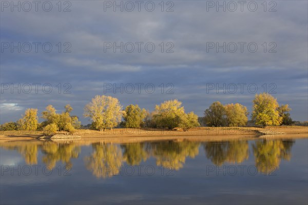 Trees in autumn colours along the river Elbe