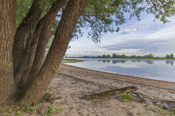 Sunrise at the UNESCO Biosphere Reserve Elbe River Landscape