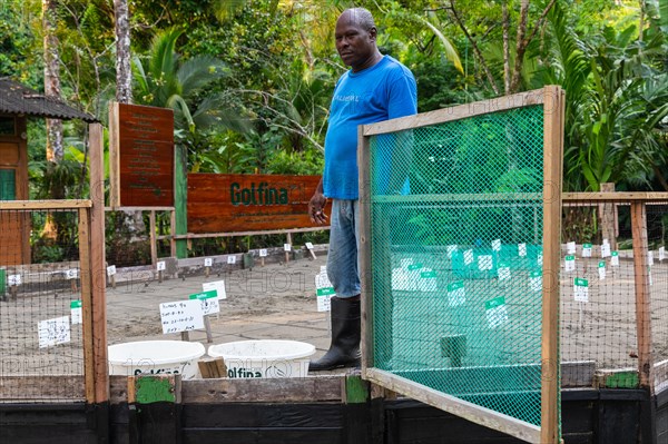 Hatchery for olive ridley sea turtles