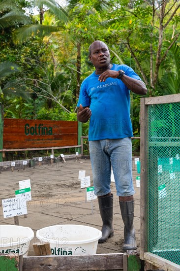 Hatchery for olive ridley sea turtles