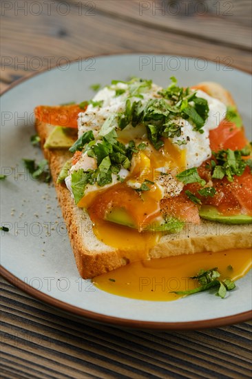 Closeup view of sandwich with trout slices