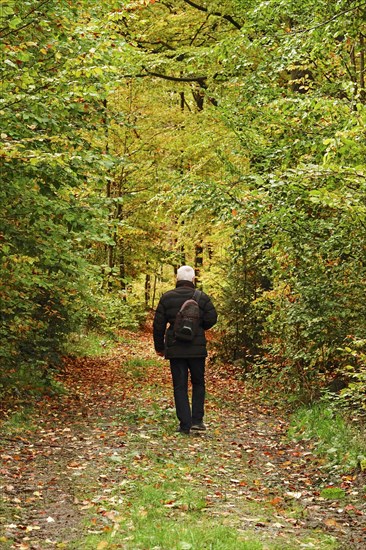 Hike through autumnal forest with photo backpack