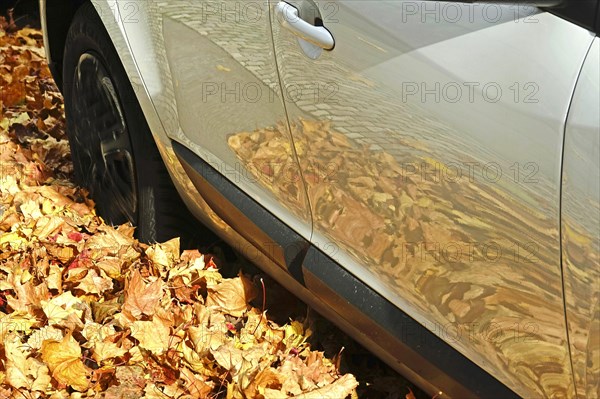 Autumn leaves reflected in a car