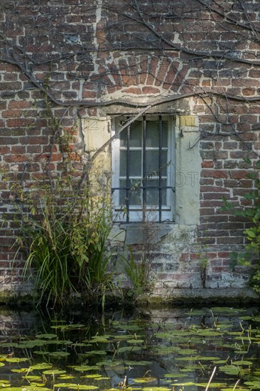 Barred window in brick wall