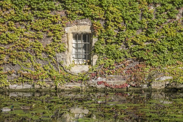 Barred window in brick wall