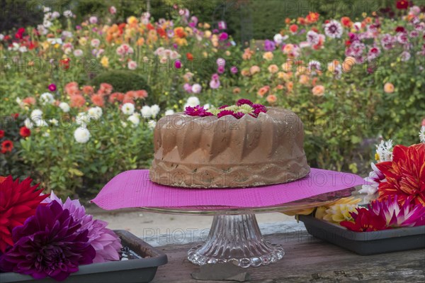 Guglhupf made of concrete as decoration and bowls with dahlia blossoms