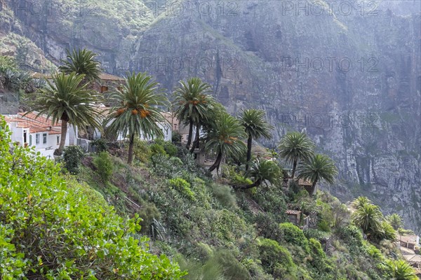 Masca mountain village in a volcanic crater