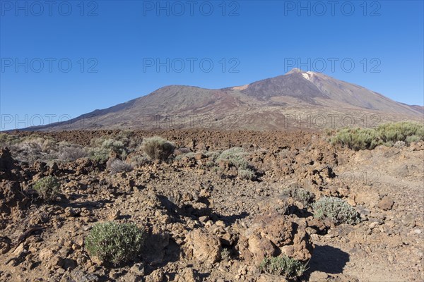 Volcanic landscape at Pico del Teide