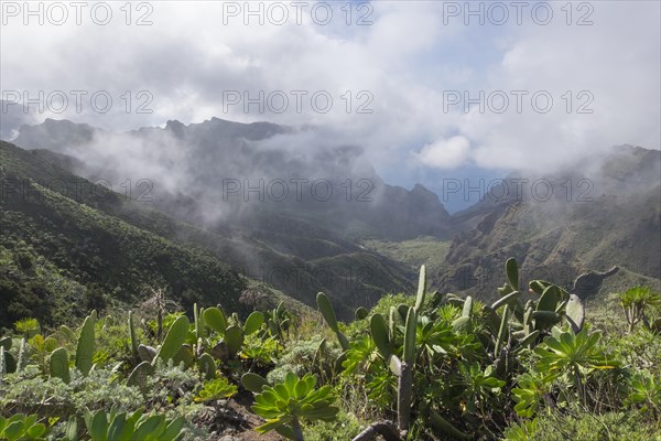 Low clouds in the Teno Mountains near the village of Masca