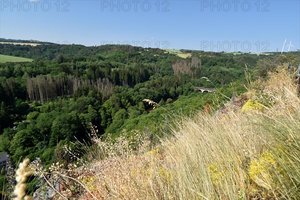 View from the Nohener-Nahe-Schleife hiking trail of the Naheland and the low mountain forest with forest dieback and the railway viaduct in the valley