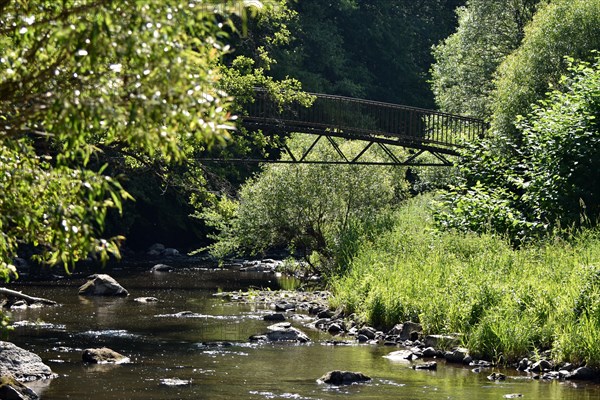 Bridge for hikers along the Nohener-Nahe-Schleife hiking trail in Naheland