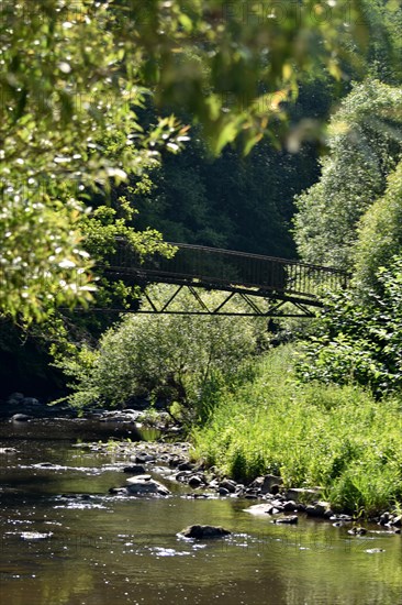 Bridge for hikers along the Nohener-Nahe-Schleife hiking trail in Naheland