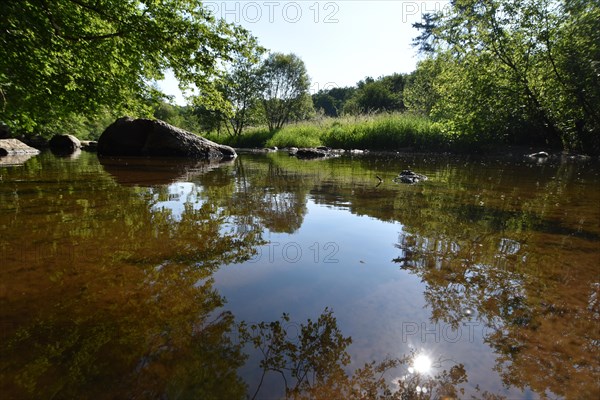 The river Nahe with rocks and vegetation on the Nohener-Nahe-Schleife hiking trail in Naheland