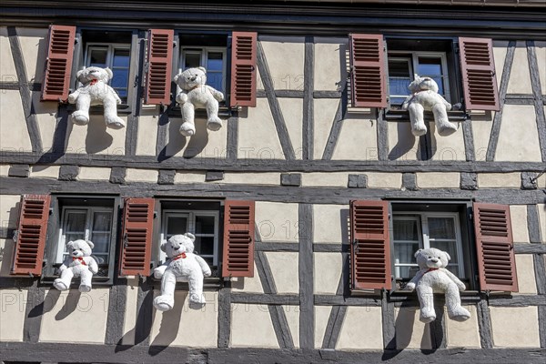 Half-timbered house with large white teddy bears in the windows in the Rue des Clefs