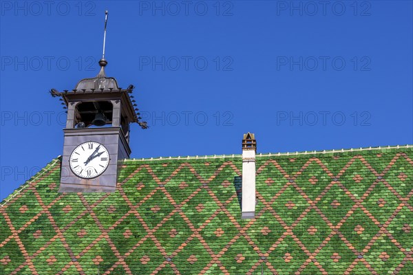 Green roof with small clock tower