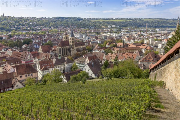 Panorama of Esslingen and Seilergang from Esslingen Castle with vineyards