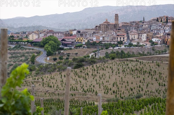 Landscapes in the hills of Tarragona around the town of Gratallops with vineyards in the wine-growing area of the Priorat designation of origin region in Catalonia Spain