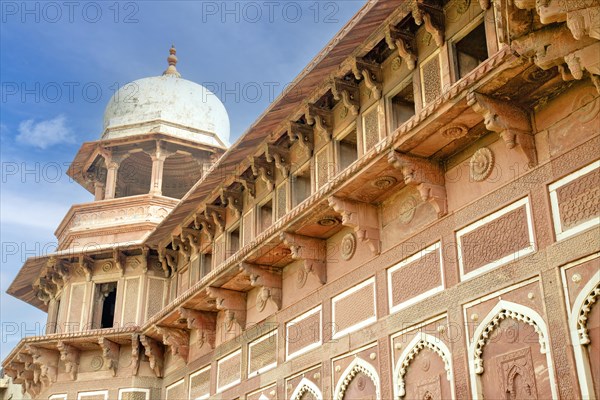 Mosque nearby taj mahal in Agra