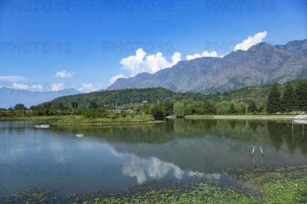 Jawaharlal Nehru Memorial Botanical Gardens in Srinagar