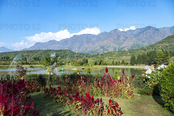 Jawaharlal Nehru Memorial Botanical Gardens in Srinagar