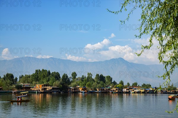 Shikars boat on dale lake in Srinagar