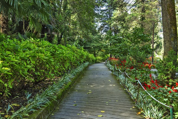 Pathway at the Road Company garden Mussourie