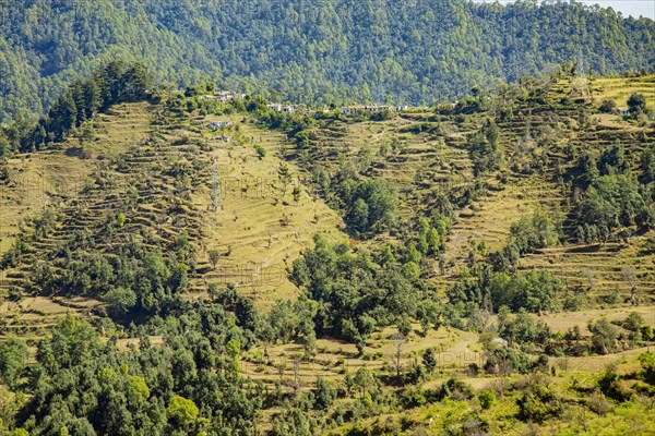 Top view of Ladholi village in the indian state of Uttarakhand