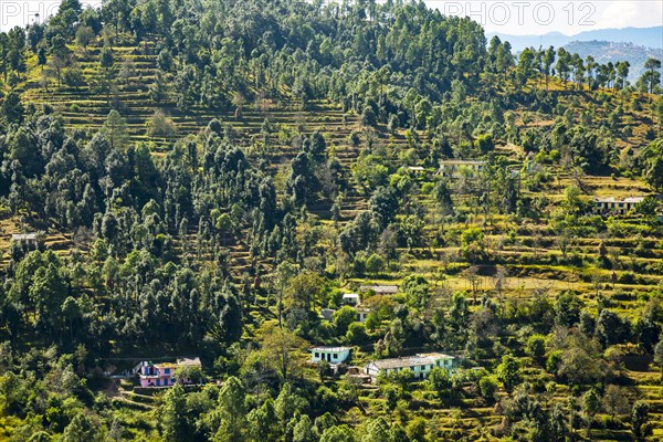 Top view of Ladholi village in the indian state of Uttarakhand